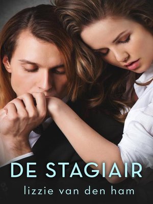 cover image of De stagiair